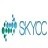 SKYCC URL存活与收录批量检查工具 1.0