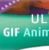 Ulead GIF Animator 5.10
