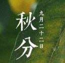 秋分图片大全 高清无水印版