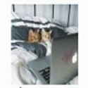 photos压缩工具 1.0.1