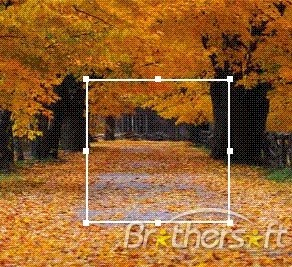 FutCrop 1.1