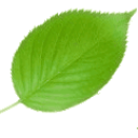 ufax2 1.3.8