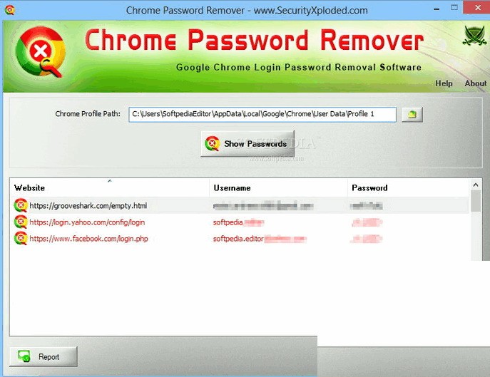 Chrome Password Remover 2.0 正式版软件截图（1）
