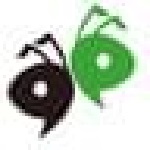 蚂蚁工资条 1.1.6