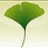 Ginkgo CADx Pro(医学图像浏览) v3.7.1官方版