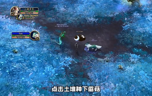 魔兽世界潮湿的土壤在哪