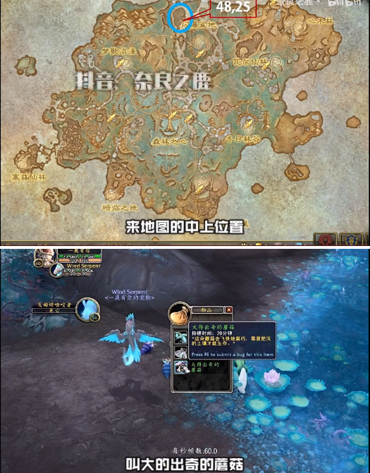 魔兽世界蟾蜍坐骑怎么得