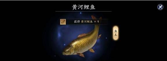 天涯明月刀手游鲤鱼在哪里钓