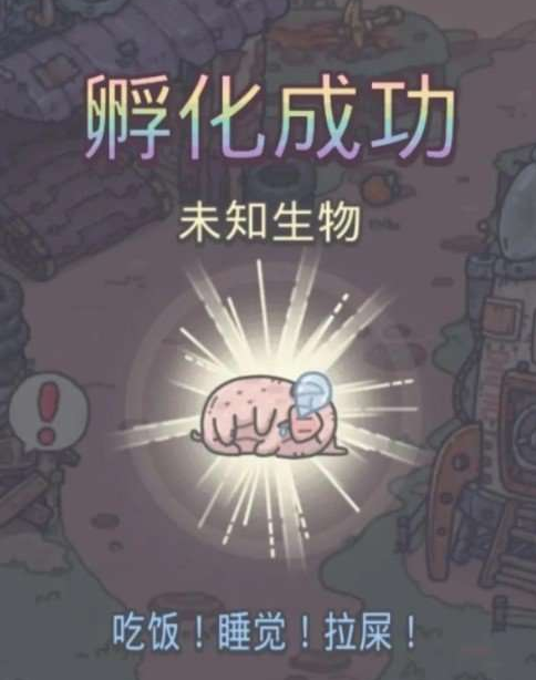 最强蜗牛宠物猪有什么用
