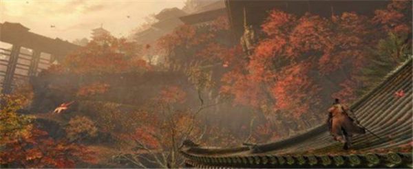 只狼鲤鱼王怎么进入皇宫