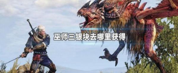 巫师三银块去哪里获得
