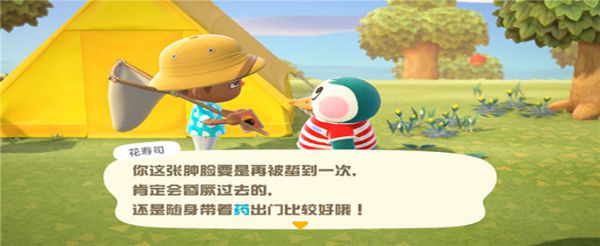 集合啦动物森友会被蜜蜂蜇了怎么办