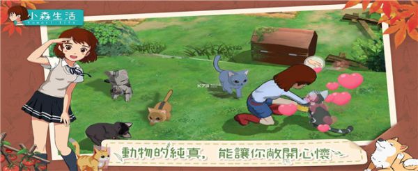 小森生活猪肉在哪里买